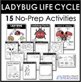 LADYBUG Life Cycle Printable NO PREP Activities First Grade