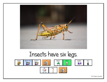 Preview of LAMP AAC book- "Insects"