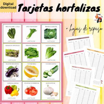 Preview of LAS HORTALIZAS - tarjetas de estudio con nombre científico