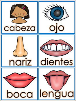 spanish body parts las partes del cuerpo tarjetas by