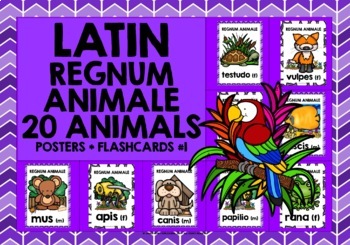 Preview of LATIN ANIMALS FLASHCARDS POSTERS #1