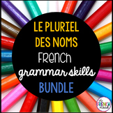 LE PLURIEL DES NOMS French grammar skills bundle