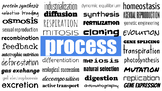 LE Process Poster