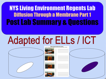 Preview of Living Environment Regents Lab - Diffusion Through a Membrane - Part 1 Summary