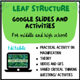 LEAF STRUCTURE: Google Slides