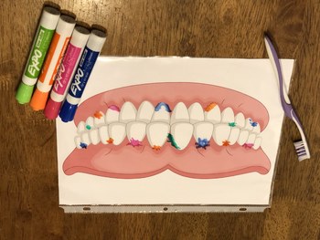 Brush Your Teeth Learn To Clean Your Teeth Dry Erase Activity For Preschoolers