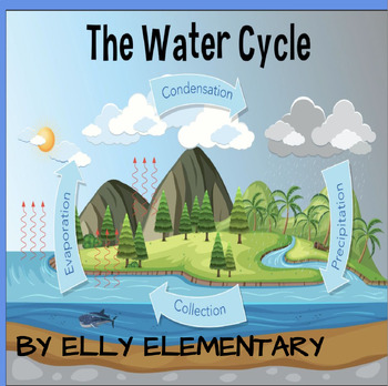 Preview of THE WATER CYCLE: SCIENCE LESSONS & EXTENSION LAB ACTIVITIES (2nd/3rd Grade)