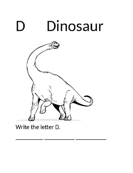Preview of LEARNING THE LETTER D.