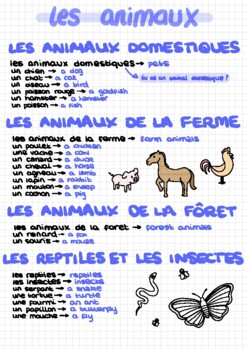 Preview of LES ANIMAUX VOCAB SHEET