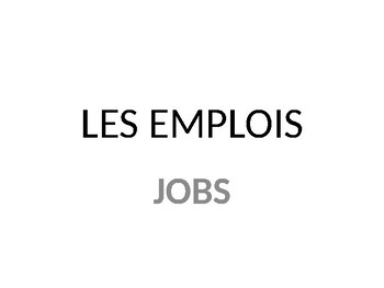 Preview of LES EMPLOIS