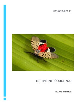 Preview of LET ME INTRODUCE YOU - A DESIGN BRIEF