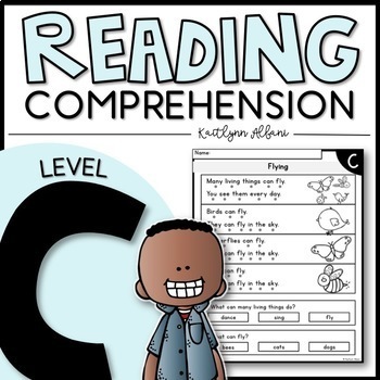 Level C Reading Passage Worksheets Teaching Resources Tpt