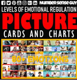 LEVELS OF EMOTIONAL REGULATION EMOTION CARDS