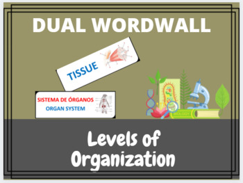 Preview of LEVELS OF ORGANIZATION DUAL WORD WALL