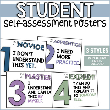 Preview of LEVELS OF UNDERSTANDING POSTERS | STUDENT SELF-ASSESSMENT POSTERS