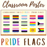 LGBTQIA+ Pride Flags Classroom Poster | Gender Identity & 