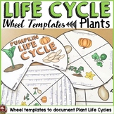 LIFE CYCLE CRAFT ACTIVITES: WHEELS: PLANTS