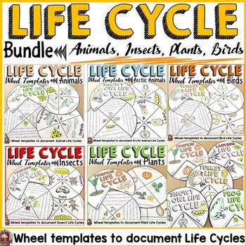 Preview of LIFE CYCLE CRAFT ACTIVITIES BUNDLE: ANIMALS; PLANTS; INSECTS; BIRDS