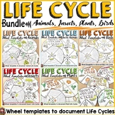 LIFE CYCLE CRAFT ACTIVITIES BUNDLE: ANIMALS; PLANTS; INSEC