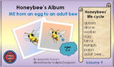 LIFE CYCLE: HONEYBEE'S ALBUM VOLUME 9