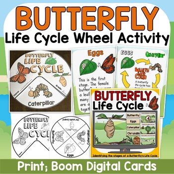 Preview of LIFE CYCLE OF A BUTTERFLY: WHEEL ACTIVITY: BOOM DIGITAL CARDS: GOOGLE CLASSROOM
