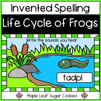 Preview of LIFE CYCLE OF A FROG - Invented Spelling. Phonics and Writing Center.