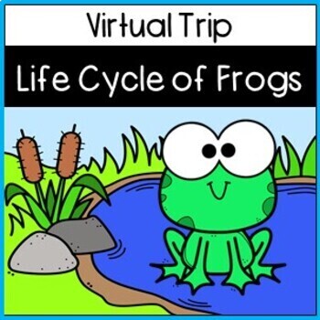 Preview of LIFE CYCLE OF A FROG VIRTUAL TRIP!!!  Habitat, Features, Pond Life & Toads, too!
