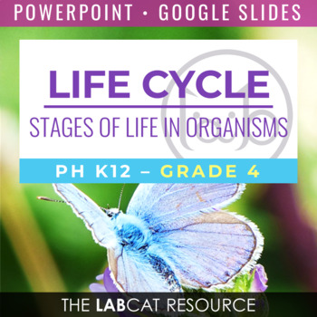 Preview of LIFE CYCLE: Stages of Life in Organisms | PPT - Google Slides