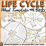 LIFE CYCLE CRAFT ACTIVITES: WHEELS: BIRDS