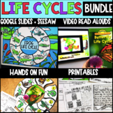LIFE CYCLES BUNDLE: Digital - Printable- Google Slides & Seesaw