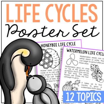 Preview of LIFE CYCLES Science Posters | Plants, Animals, Food | Bulletin Board Decor