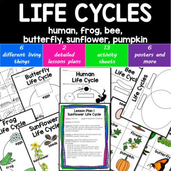 Preview of LIFE CYCLES- human frog bee butterfly sunflower pumpkin *NO PREP