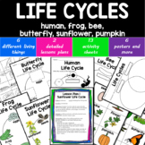 LIFE CYCLES- human frog bee butterfly sunflower pumpkin *NO PREP