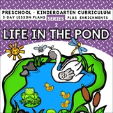 LIFE IN THE POND  Lesson Plans Preschool Pre-K Kindergarte