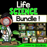 LIFE SCIENCE Real Picture Sorts, Activities and PowerPoint