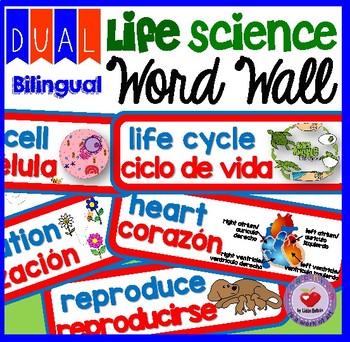 Preview of LIFE SCIENCE WORD WALL- DUAL BILINGUAL