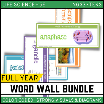 Preview of LIFE SCIENCE Word Wall Bundle - Biology Vocabulary 450+ words!