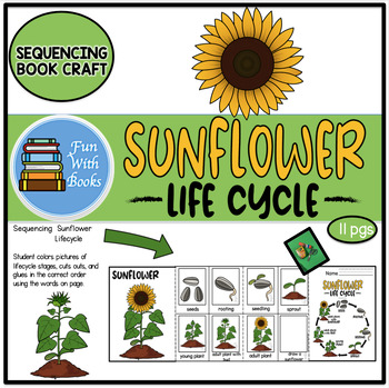 Preview of LIFECYCLE OF A SUNFLOWER