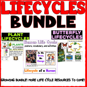 Preview of LIFE CYCLES BUNDLE for 3K, Pre-K, Preschool, & Kindergarten