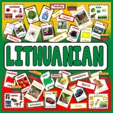 LITHUANIAN LANGUAGE TEACHING RESOURCES DISPLAY posters fla