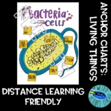 DISTANCE LEARNING FRIENDLY-SCIENCE ANCHOR CHART / SCAFFOLD