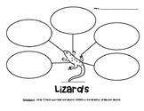 LIZARDS Graphic Organizer