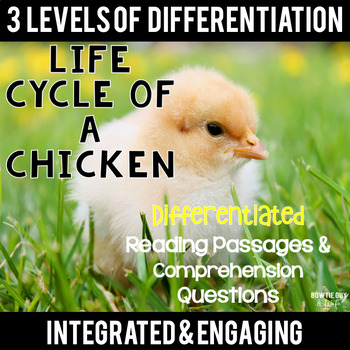 Preview of Life Cycle of a Chicken Differentiated Reading Passages