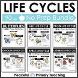 Life Cycles Bundle of 6 - Butterfly Chicken Frog Apple Bee