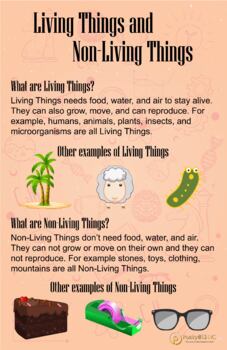 Living And Non Living Things Posters Worksheets Tpt