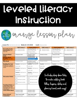 Preview of LLI orange lesson plan
