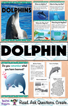 All About Dolphins Nonfiction Unit By Spatial Projects 