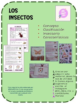 Preview of LOS INSECTOS