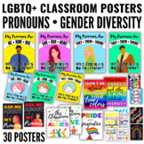 LQBTQ+ Pronouns Gender Diversity Classroom Poster Set • In