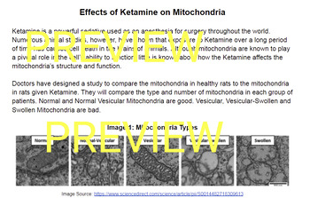 Preview of LS1-2 Effects of Ketamine on Mitochondria